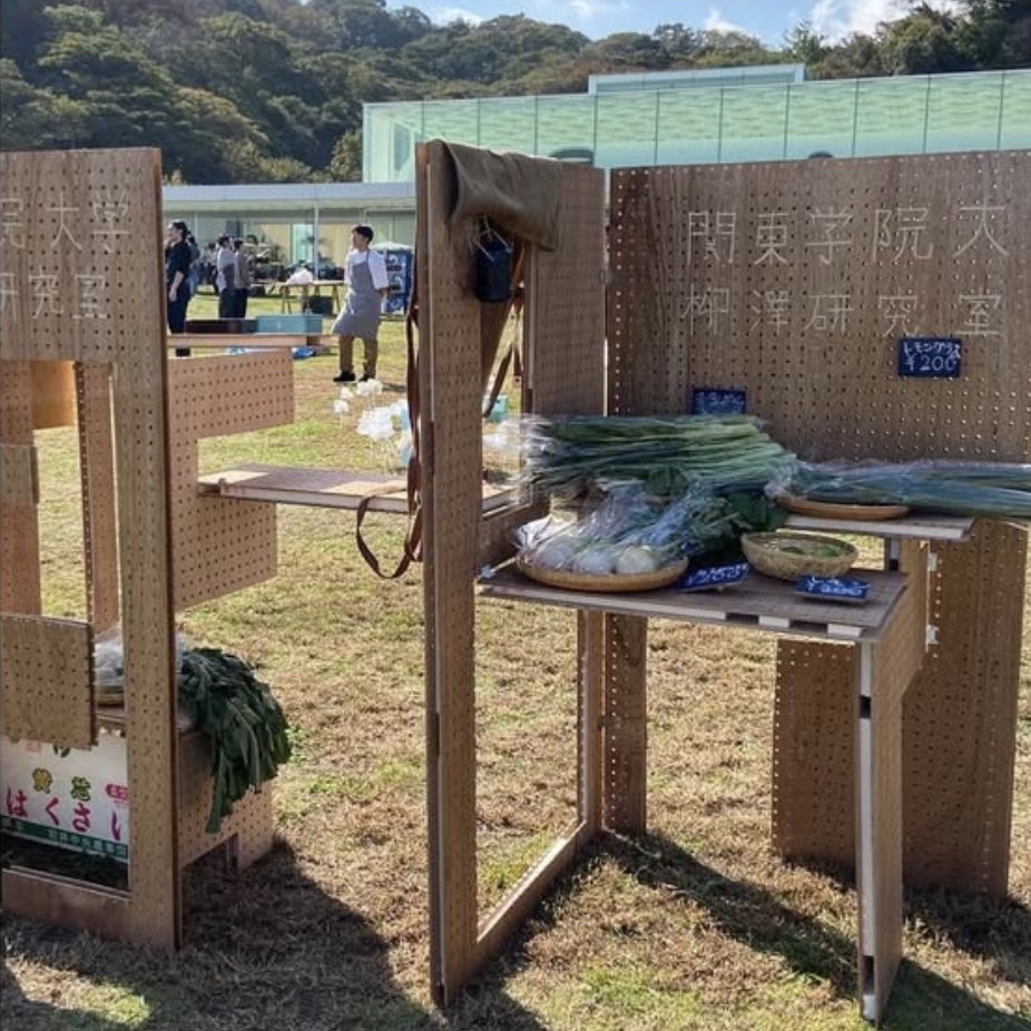 関東学院大学 柳澤研 2023